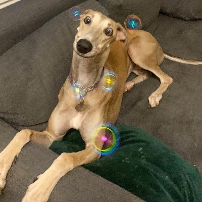 LuluHelle